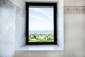Le Clos du Buis