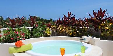 Lili Penthouse 2 bedroom sleeps 5