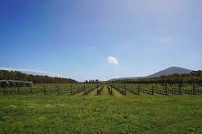 Agriturismo Casale degli Ulivi