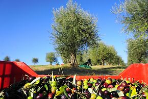 Fattoria Lornano Winery