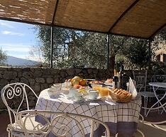 Fattoria Lornano Winery