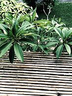 Sand in My Shoes Beach Loft