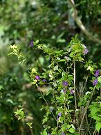 Sand in My Shoes Beach Loft