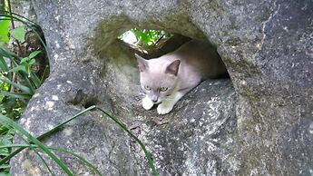 Baan Suan Jantra Home Stay