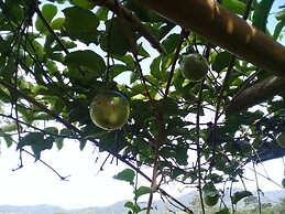 Baan Suan Jantra Home Stay