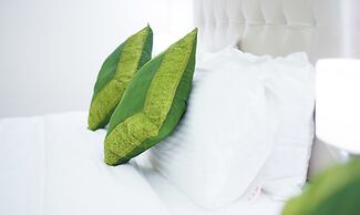 Treebo Amber International