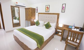 Treebo Amber International