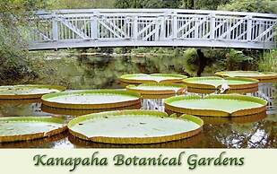 Fairfield Inn & Suites by Marriott Gainesville I-75