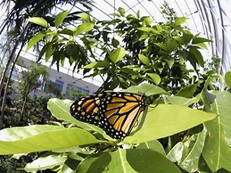 Fairfield Inn & Suites by Marriott Gainesville I-75