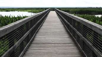 Fairfield Inn & Suites by Marriott Gainesville I-75