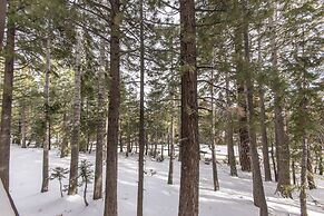 Mountain View Villas 34