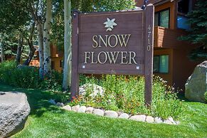 Snowflower 62