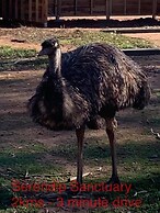 Sweet Dreams Retreat At Lara