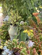 Sweet Dreams Retreat At Lara