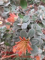 Sweet Dreams Retreat At Lara