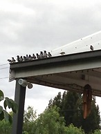 Sweet Dreams Retreat At Lara