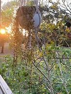 Sweet Dreams Retreat At Lara