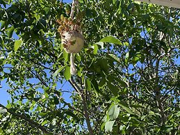 Sweet Dreams Retreat At Lara