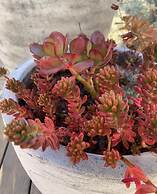 Sweet Dreams Retreat At Lara