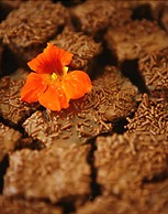 Pousada Encanto da Serra