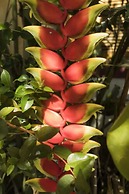 Pousada Encanto da Serra