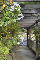 Pousada Água Cristalina