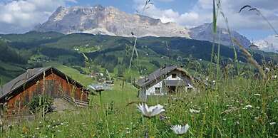 Naturhotel die Waldruhe