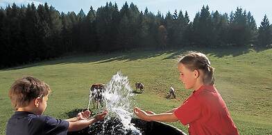 Naturhotel die Waldruhe