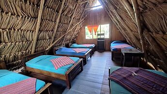 Hostal Oasis The Traveler - Hostel
