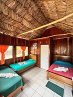 Hostal Oasis The Traveler - Hostel