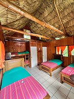 Hostal Oasis The Traveler - Hostel