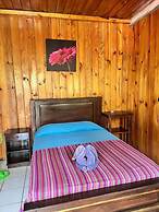 Hostal Oasis The Traveler - Hostel