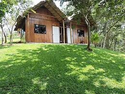 Hostal Oasis The Traveler - Hostel