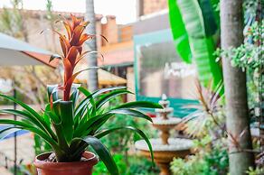 Pousada Tiradentes Village