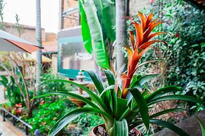 Pousada Tiradentes Village