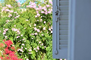 MAS 460 - Beautiful apartment in Mendoza