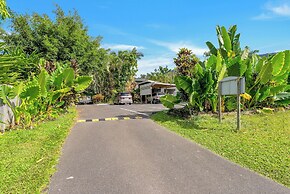 The Palms at Palm Cove