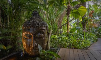 The Palms at Palm Cove