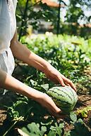 Regenta Arie Lagoon Negombo