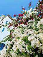 Blue Anchor Lodge & Cafe-Binh Ba Island