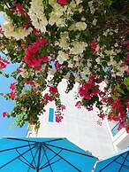 Blue Anchor Lodge & Cafe-Binh Ba Island