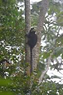 Pousada Encanto da Bocaina