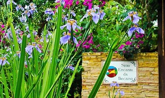 Pousada Encanto da Bocaina