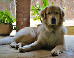 Pousada Encanto da Bocaina