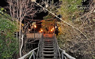 Pugdundee Safaris- Tree House Hideaway