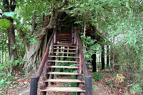 Pugdundee Safaris- Tree House Hideaway