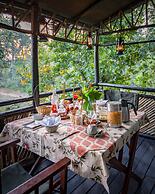 Pugdundee Safaris- Tree House Hideaway