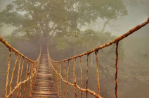 Playa Lagarto Eco Development