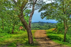 Playa Lagarto Eco Development