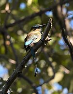 Playa Lagarto Eco Development